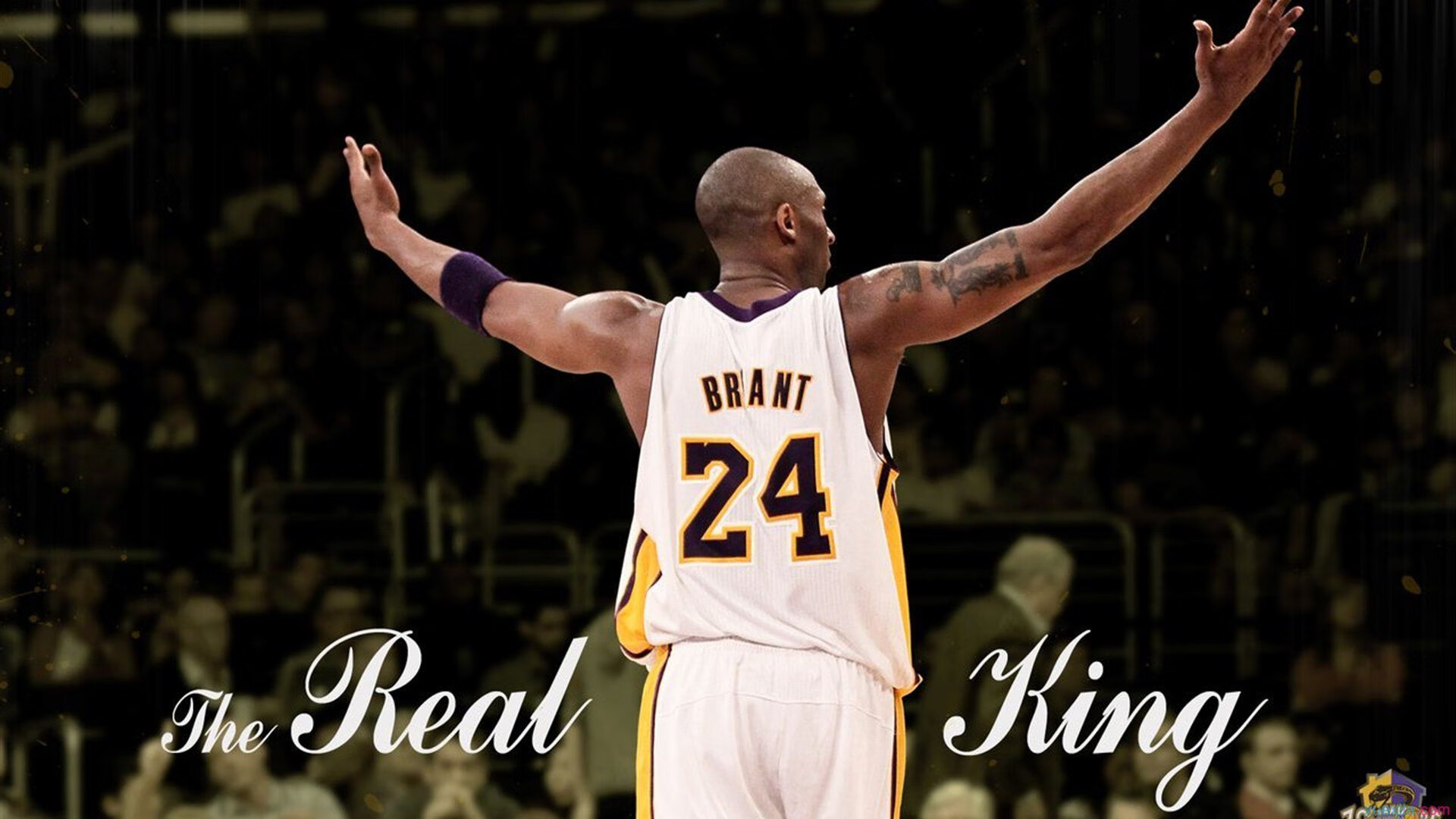 体育产业政策持续完善,体育产业政策持续完善什么意思